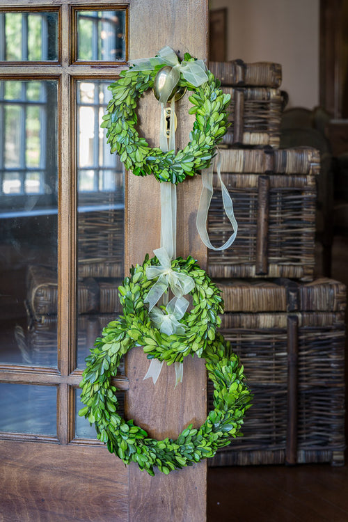 Preserved Boxwood Wreaths with Ivory Ribbon