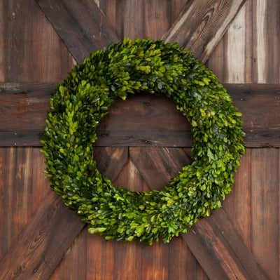 Preserve Boxwood Wreath Large