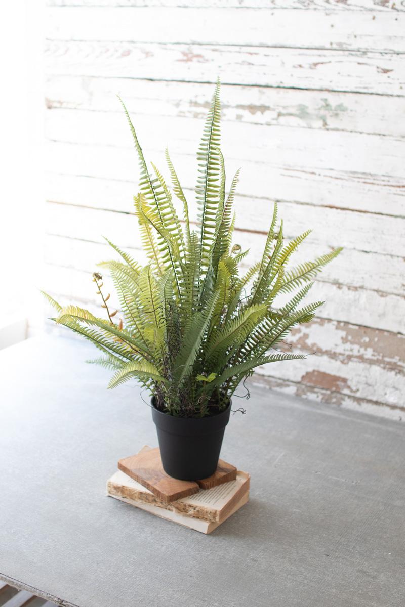 ARTIFICIAL POTTED BOSTON FERN