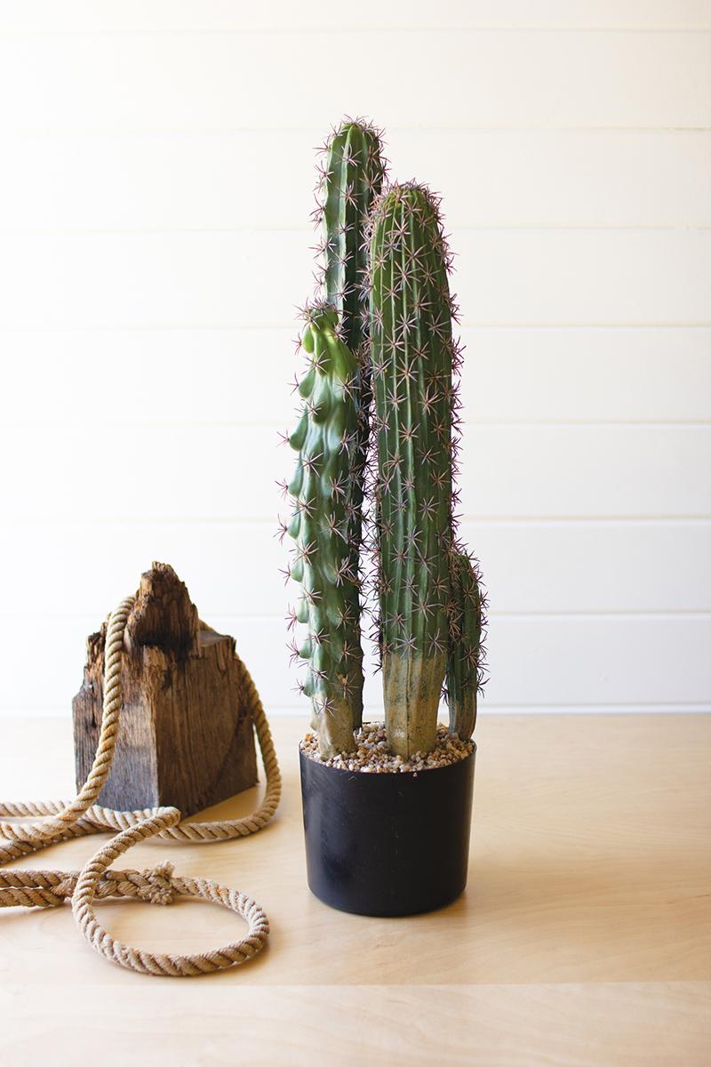 ARTIFICIAL CACTUS IN A BLACK PLASTIC POT WITH FIVE STEMS