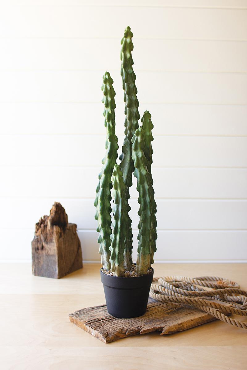 ARTIFICIAL CACTUS IN A BLACK PLASTIC POT WITH SIX STEMS