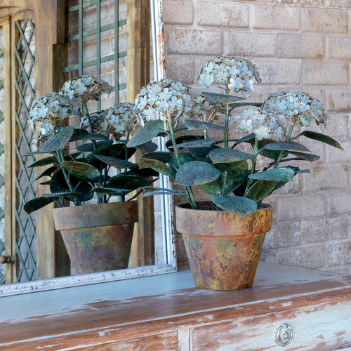 Aged Metal Potted Hydrangea