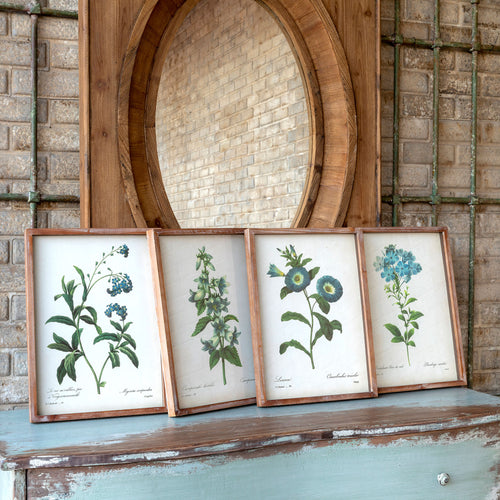 Framed Blue Botanical Print 4 Asst Styles
