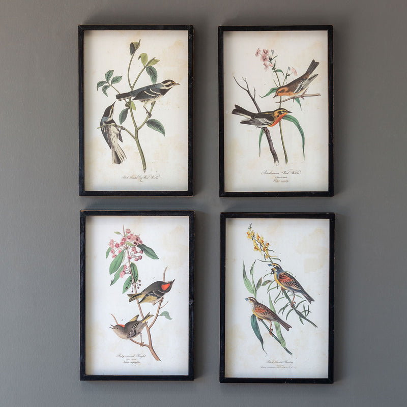 Songbird On Branch Prints, Set of 4