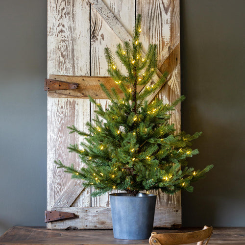 Potted Mixed Pine Porch Tree, Lighted