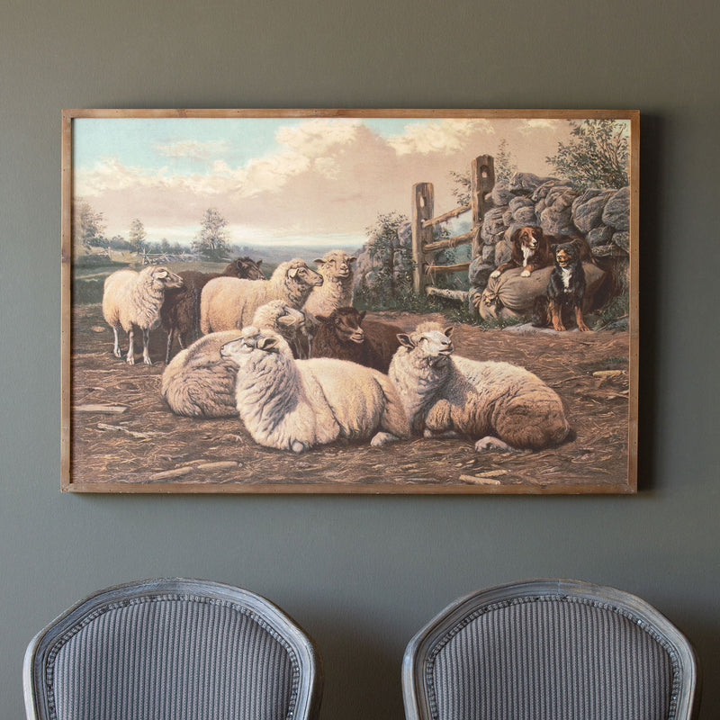 Farm Sheep Framed Print