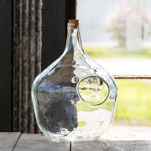 Glass Bottle Terrarium Large